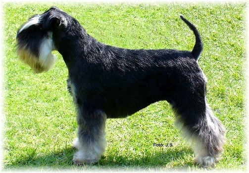 Wynona-4 Jahre-09-2