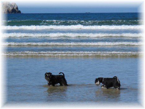 Bretagne2010-2