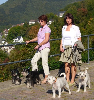 Burg-Aletn-3