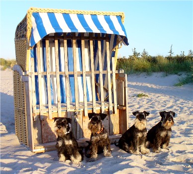 Kalifornien-Ostsee-2
