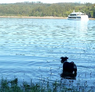 Sorpesee-2