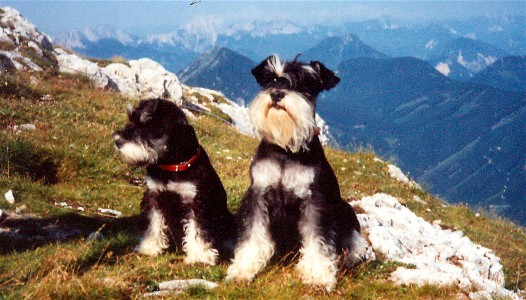 Urlaub-K�rten-1