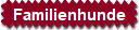 Familienhunde