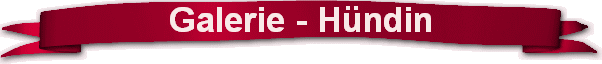 Galerie - H�ndin