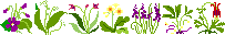 00002148