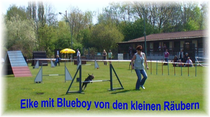 Agi-Wanne010-4