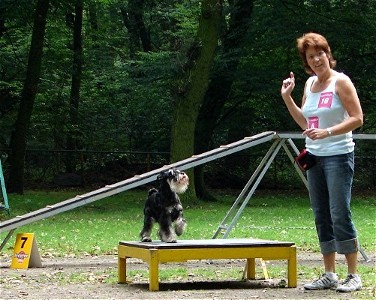 Agility08-09