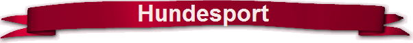 Hundesport 