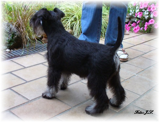 Leeloo-mit-5-Mo