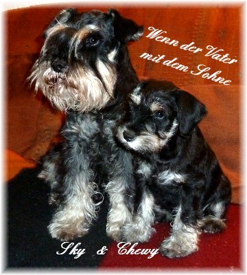 Sky-Chewy