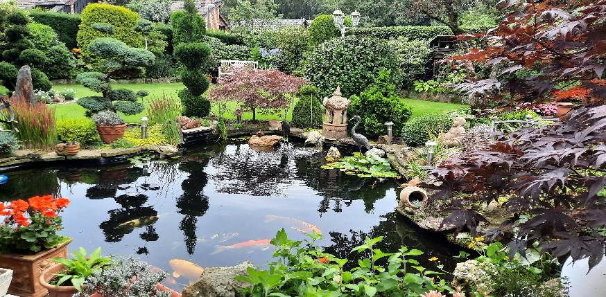 Gartenteich August 2023