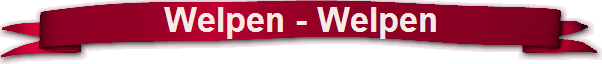 Welpen - Welpen