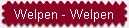 Welpen - Welpen